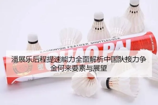 潘展乐后程提速能力全面解析中国队接力争金何来要素与展望